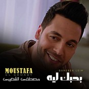 كلمات اغنية بحبك ليه