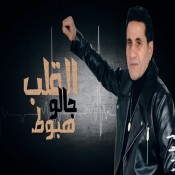 كلمات اغنية القلب جالو هبوط - احمد شيبه