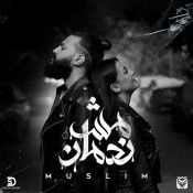 كلمات اغنية مش ندمان