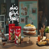 كلمات اغنية اعلان تسلم ايدك ست أميرة
