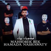 كلمات اغنية محسوبك بيك - حمادة نشواتي