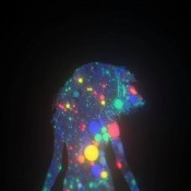 كلمات اغنية انتهي صلاحية العسل