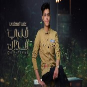 كلمات اغنية قلبي فداك