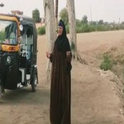 كلمات اغنية القصب عايز ميه - الحاجه نبيله