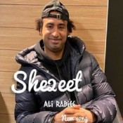 كلمات اغنية شقيت