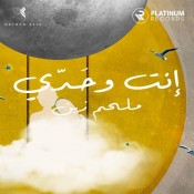 كلمات اغنية انت وحدي - ملحم زين
