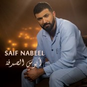 كلمات اغنية أبوس الصدفة - سيف نبيل