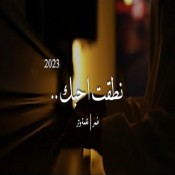 كلمات اغنية نطقت احبك