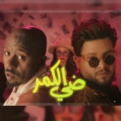 كلمات اغنية ضي الكمر - محمد السالم