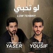 كلمات اغنية لو تحبني - ياسر عبدالوهاب