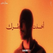 كلمات اغنية أخذت بخاطرك