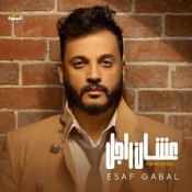 كلمات اغنية عشان راجل - ايساف