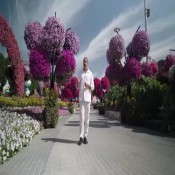 كلمات اغنية برنامج سين