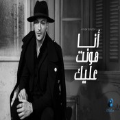 كلمات اغنية انا هونت عليك