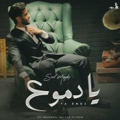 كلمات اغنية يا دموع - سيف مجدي