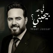 كلمات اغنية في حد بيحبني - وائل جسار