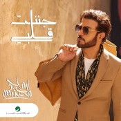 كلمات اغنية جننت قلبي