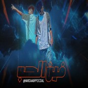 كلمات مهرجان فين الحب