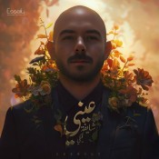 كلمات اغنية عيني شايفة فيكي