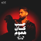 كلمات اغنية حب كان هموم - فريد