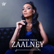 كلمات اغنية زعلني - شيرين يحيي