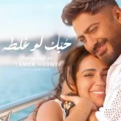 كلمات اغنية حبك لو غلطه - تامر حسني