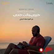 كلمات اغنية حبيبي وانت جمبي - محمود العسيلي