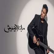 كلمات اغنية ما بتلاقينيش