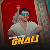 كلمات اغنية غالي - رضوان برحيل