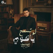 كلمات اغنية لو تسمح يا هوي