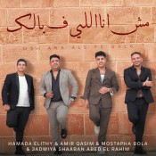كلمات اغنية مش انا اللى ف بالك - حمادة الليثى و عدوية شعبان عبدالرحيم