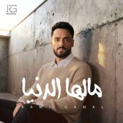 كلمات اغنية مالها الدنيا - رامي جمال