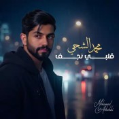 كلمات اغنية قلبي نجف - محمد الشحي