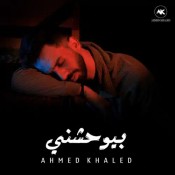 كلمات اغنية بيوحشني - عنده طريقه بينساني بيها - احمد خالد