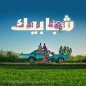 كلمات اغنية شبابيك - بدر الشعيبي