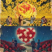 كلمات اغنية النصيب - ابو الانوار