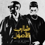 كلمات اغنية شارب الأصول - عطار و عنبه