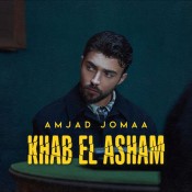 كلمات اغنية خاب العشم - أمجد جمعة