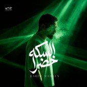 كلمات اغنية السكه خضرا - كريم محسن