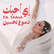 كلمات اغنية اي احبك - دموع تحسين